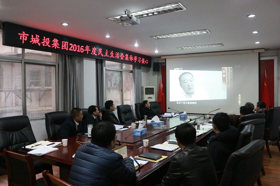 市城投集团召开“学习贯彻十八届六中全会精神”专题民主生活会