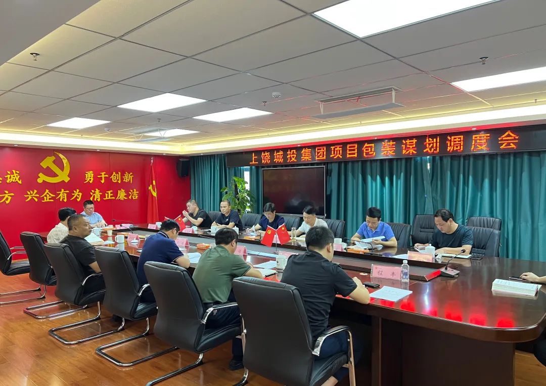 集团公司召开项目包装谋划调度会